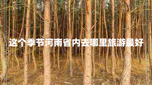這個(gè)季節河南省內去哪里旅游最好