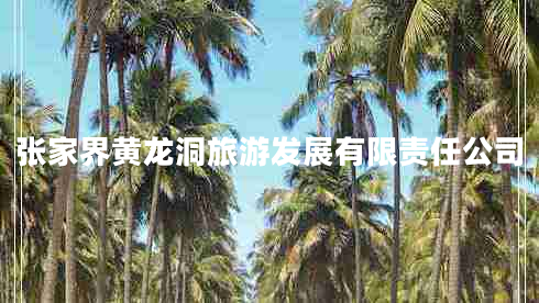 張家界黃龍洞旅游發(fā)展有限責任公司