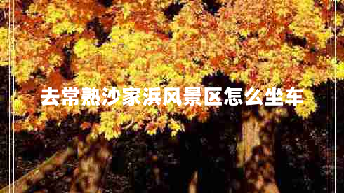 去常熟沙家浜風(fēng)景區怎么坐車(chē)