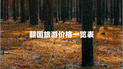 朝國旅游價(jià)格一覽表