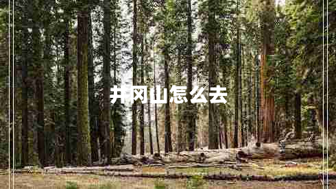 井岡山怎么去