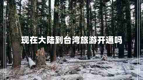 現在大陸到臺灣旅游開(kāi)通嗎