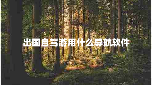 出國自駕游用什么導航軟件
