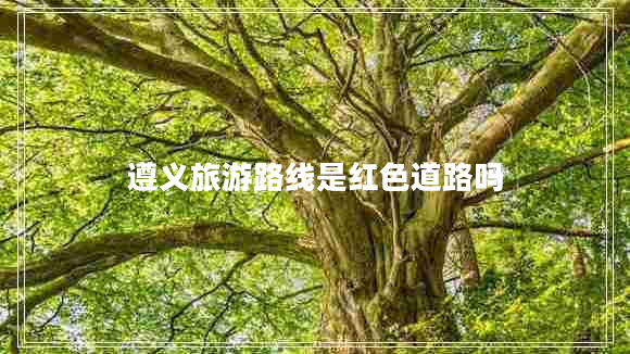 遵義旅游路線(xiàn)是紅色道路嗎