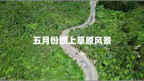 五月份壩上草原風(fēng)景