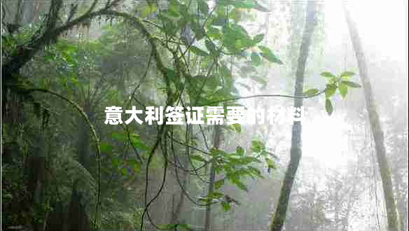 意大利簽證需要的材料