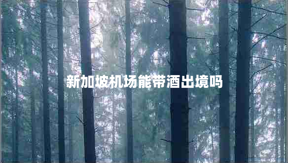 新加坡機場(chǎng)能帶酒出境嗎