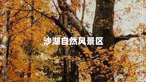沙湖自然風(fēng)景區