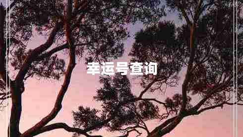 幸運號查詢(xún)