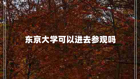 東京大學(xué)可以進(jìn)去參觀(guān)嗎