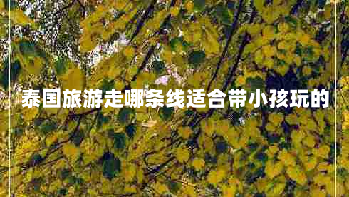 泰國旅游走哪條線(xiàn)適合帶小孩玩的