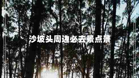 沙坡頭周邊必去景點(diǎn)景