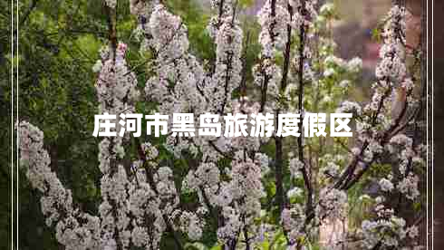 莊河市黑島旅游度假區