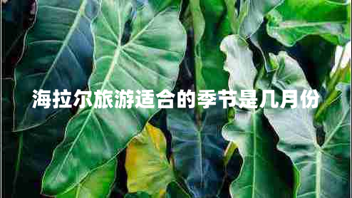 海拉爾旅游適合的季節是幾月份