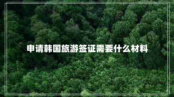 申請韓國旅游簽證需要什么材料