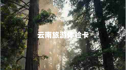 云南旅游體驗卡
