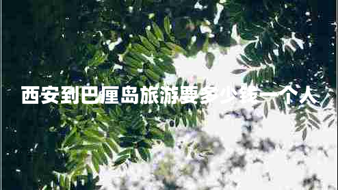 西安到巴厘島旅游要多少錢(qián)一個(gè)人