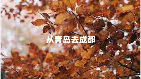 從青島去成都