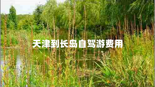 天津到長(cháng)島自駕游費用