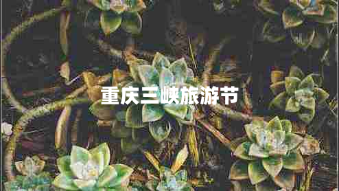 重慶三峽旅游節