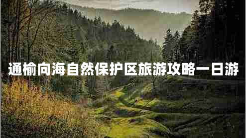 通榆向海自然保護區旅游攻略一日游