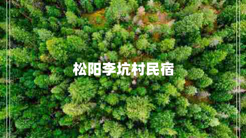 松陽(yáng)李坑村民宿