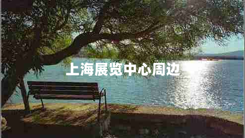 上海展覽中心周邊