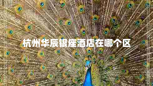 杭州華辰銀座酒店在哪個(gè)區