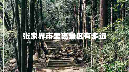 張家界市里離景區有多遠