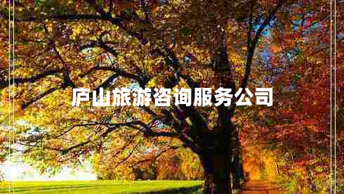 廬山旅游咨詢(xún)服務(wù)公司