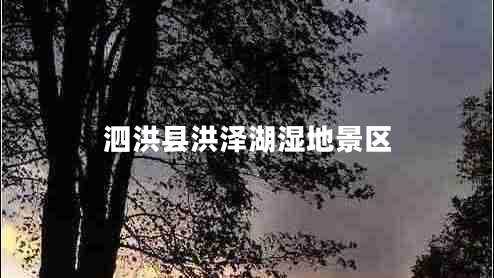 泗洪縣洪澤湖濕地景區