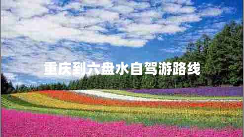 重慶到六盤(pán)水自駕游路線(xiàn)