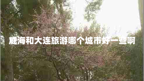 威海和大連旅游哪個(gè)城市好一些啊