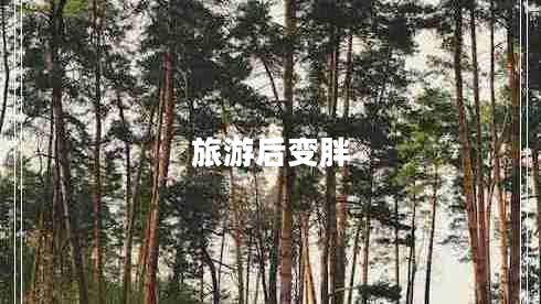 旅游后變胖