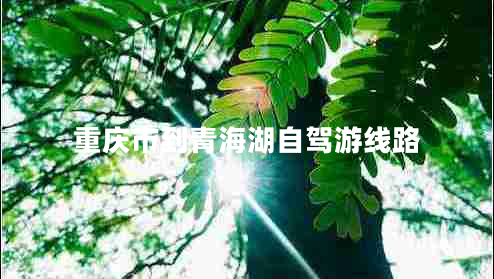 重慶市到青海湖自駕游線(xiàn)路