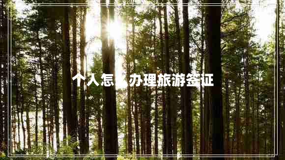 個(gè)人怎么辦理旅游簽證