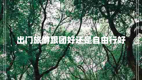 出門(mén)旅游跟團好還是自由行好