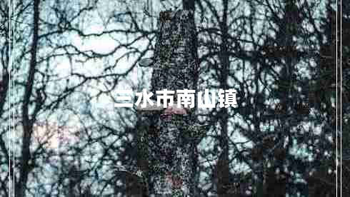三水市南山鎮