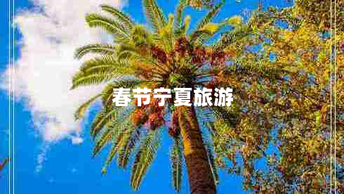 春節寧夏旅游