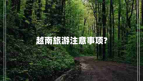 越南旅游注意事項?