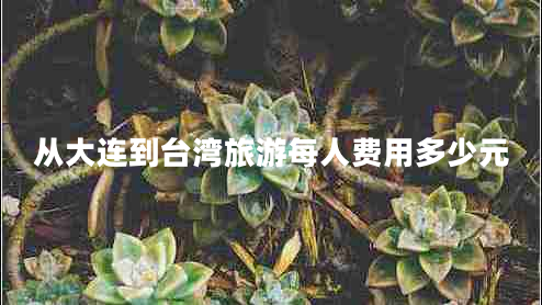 從大連到臺灣旅游每人費用多少元