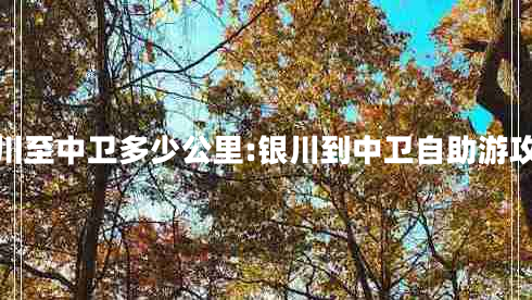 銀川至中衛多少公里:銀川到中衛自助游攻略