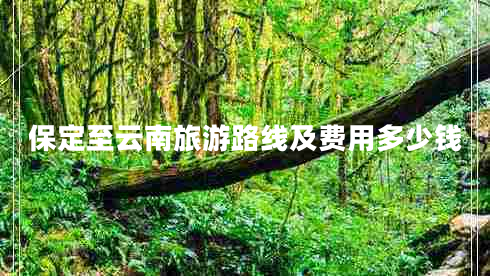 保定至云南旅游路線(xiàn)及費用多少錢(qián)