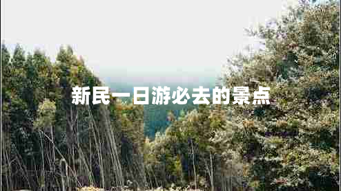 新民一日游必去的景點(diǎn)
