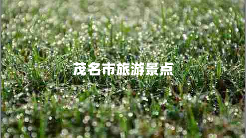 茂名市旅游景點(diǎn)