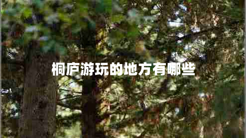 桐廬游玩的地方有哪些