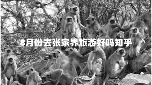 8月份去張家界旅游好嗎知乎