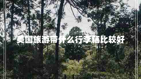 美國旅游帶什么行李箱比較好