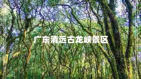 廣東清遠古龍峽景區