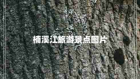 楠溪江旅游景點(diǎn)圖片